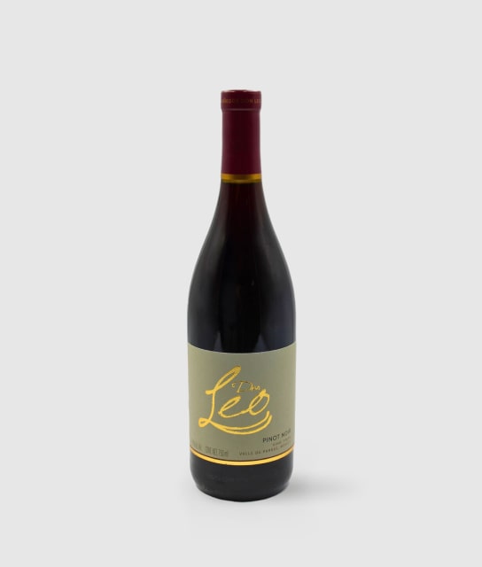 botella de vino DON LEON